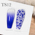 TS12