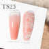 TS23