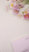 Chorme Powder 12pcs Set