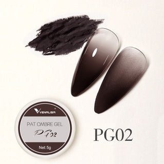 Buy pg02 Venalisa Pat Ombre Gel