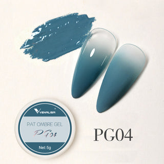 Buy pg04 Venalisa Pat Ombre Gel