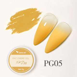 Buy pg05 Venalisa Pat Ombre Gel