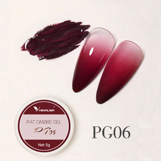 Buy pg06 Venalisa Pat Ombre Gel