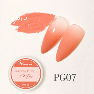 Buy pg07 Venalisa Pat Ombre Gel